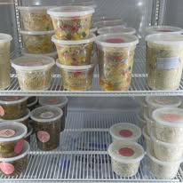 Containers of pasta salads and coleslaw on cooler shelves