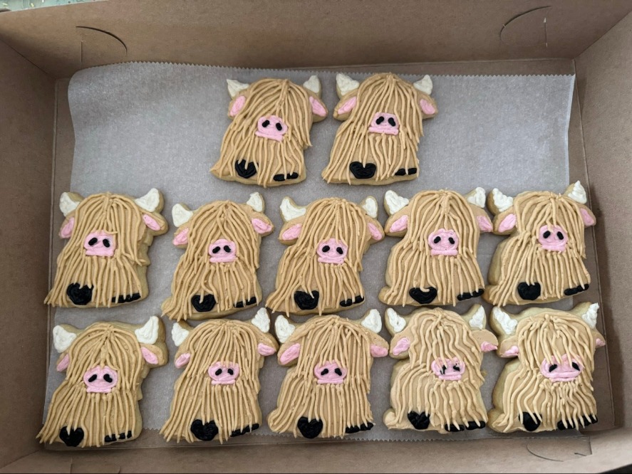 A dozen piped highland cow sugar cookies in a bakery box